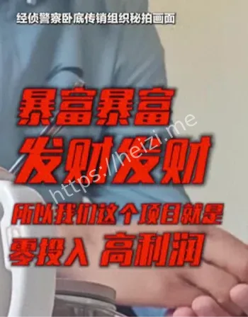 民警卧底传销视频